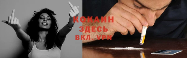 прущая мука Новодвинск