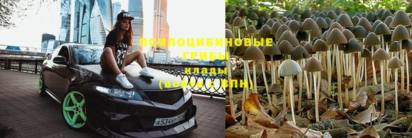 винт Нефтекумск