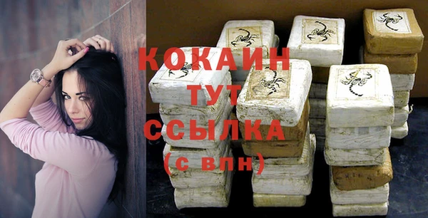 индика Ахтубинск