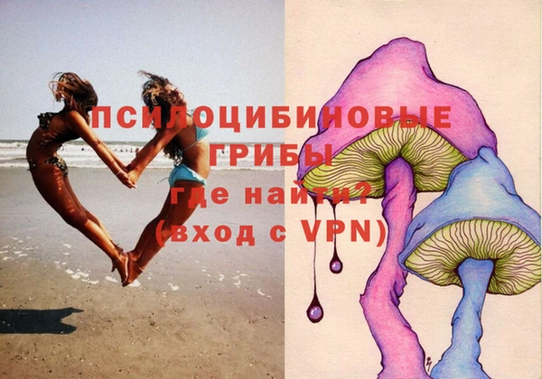 прущая мука Новодвинск