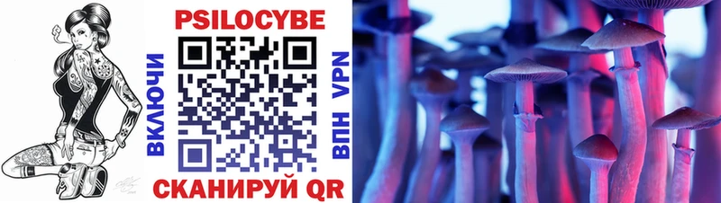 Псилоцибиновые грибы Psilocybine cubensis  Перевоз 