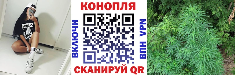 Каннабис семена  Перевоз 